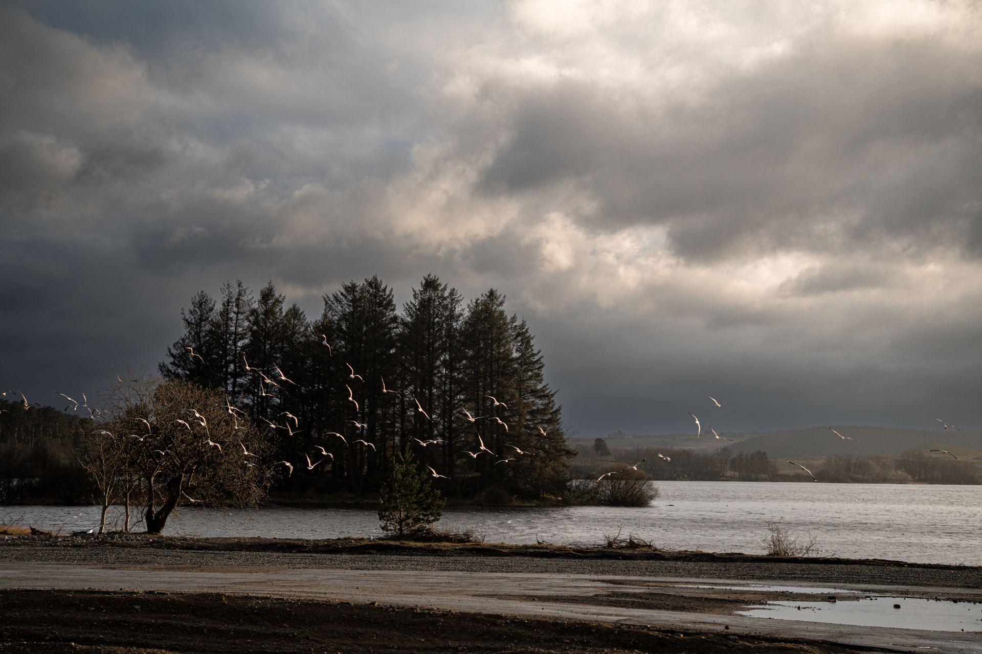 Dramatisk landskap i Rogaland fotografert av Appfjell Media